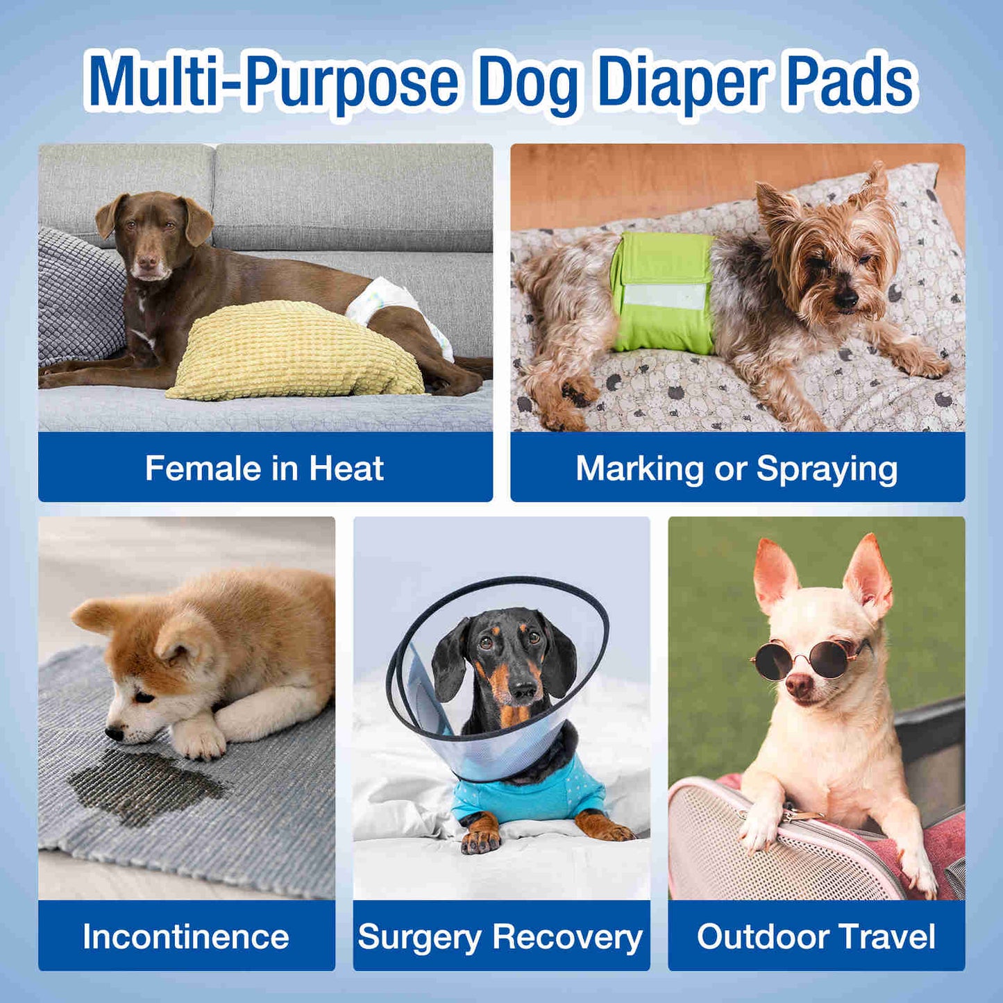 Disposable Dog Diaper Liners, Fit Most Dog Wraps and Belly Bands, Brown, 1 Pack
