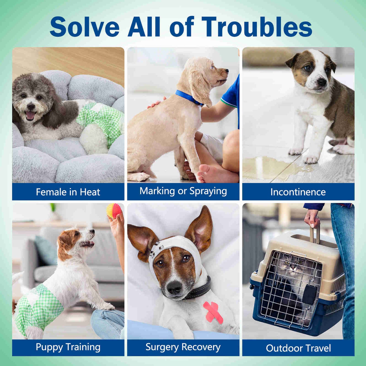 Disposable Female Dog Diaper, Adjustable Tail Hole, 24 Pcs/ Pack