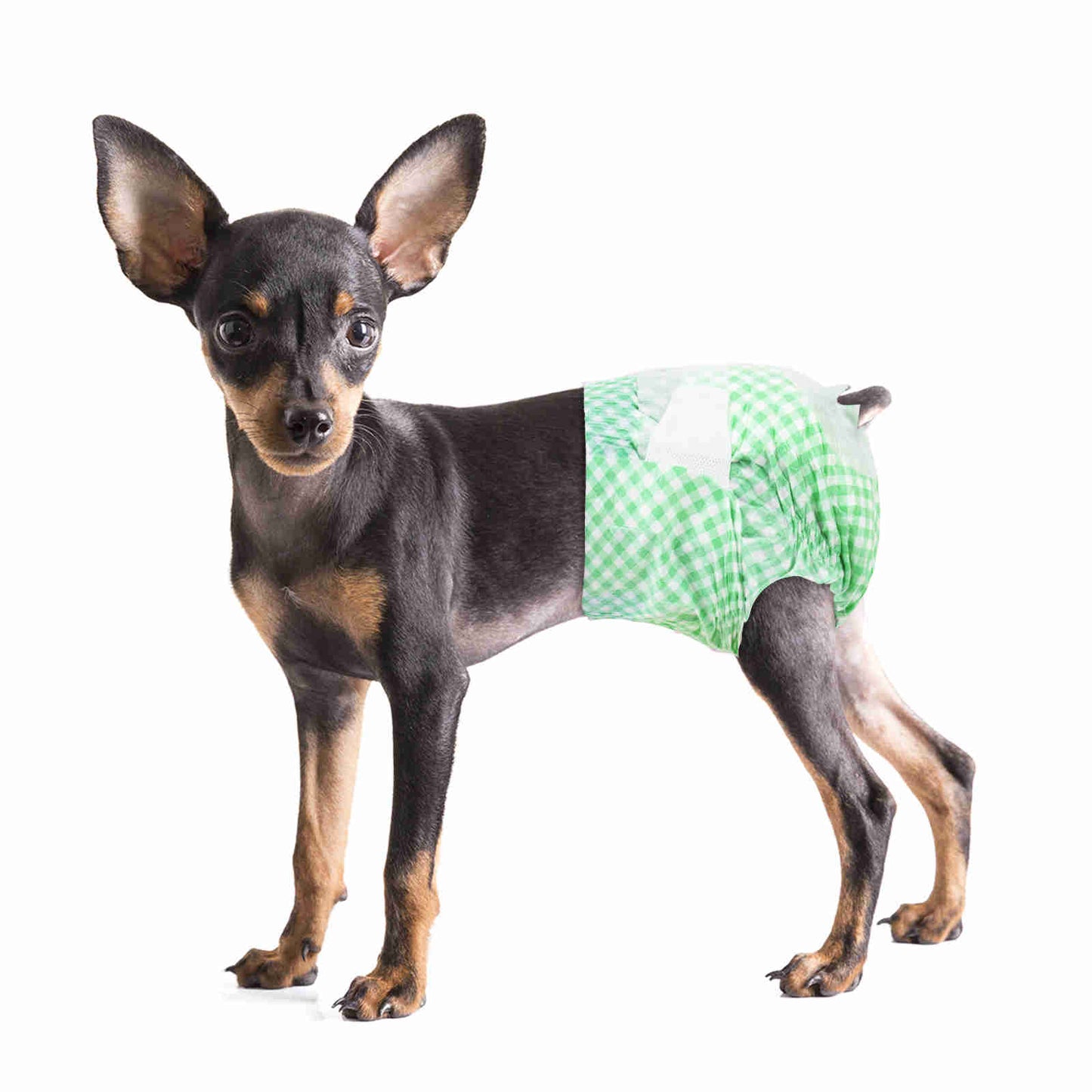 Disposable Female Dog Diaper, Adjustable Tail Hole, 24 Pcs/ Pack