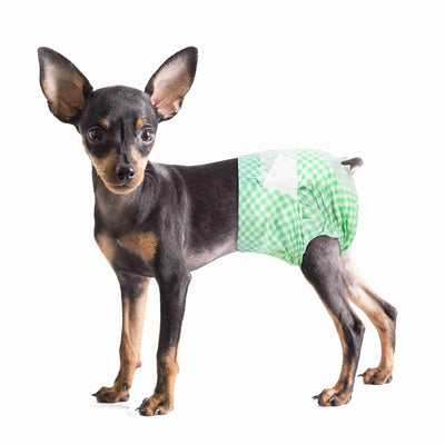Disposable Female Dog Diaper, Adjustable Tail Hole, 24 Pcs/ Pack