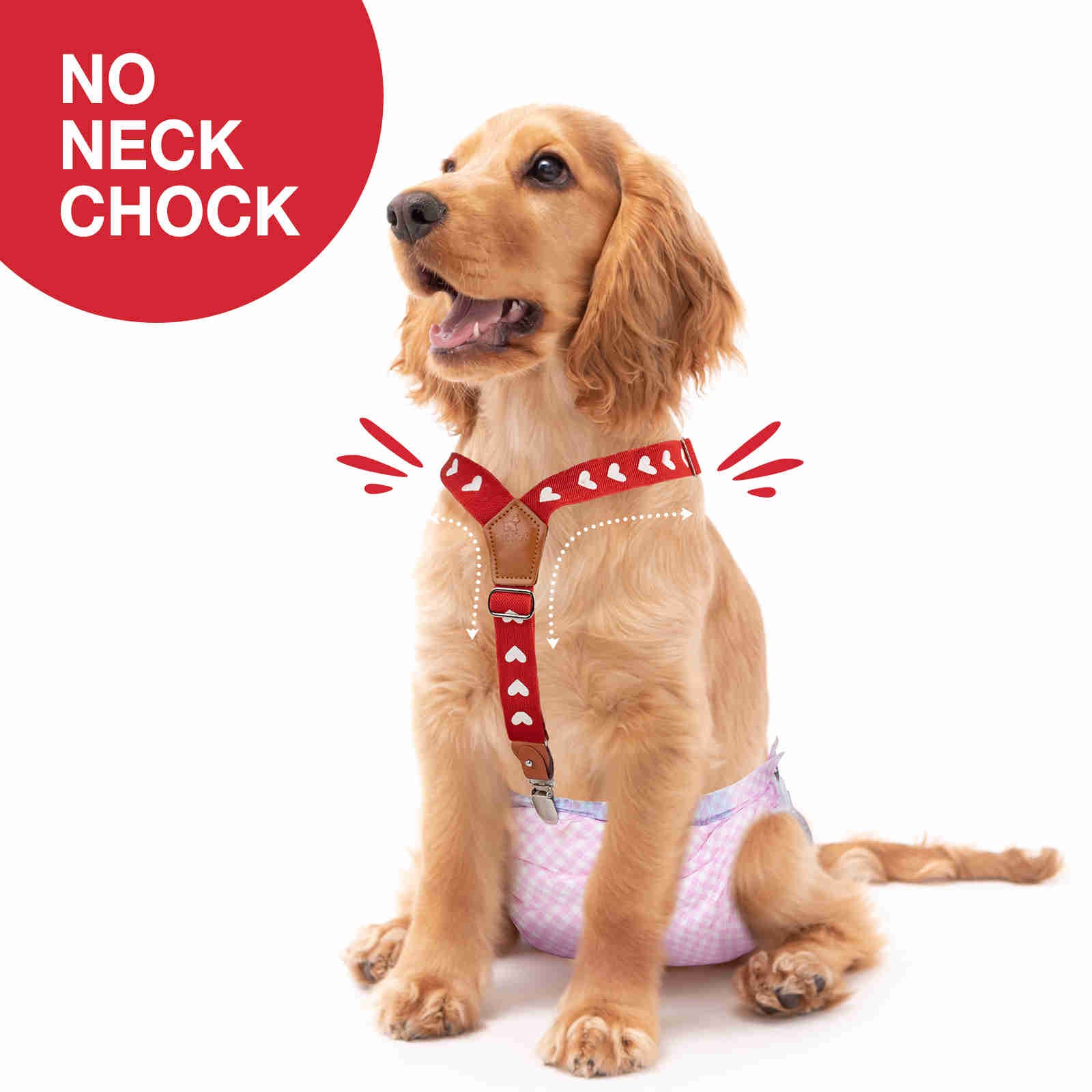 Dog Diaper Keeper For Male Dog And Female Dog Diapers, 2 Pcs/ Pack (Heart)