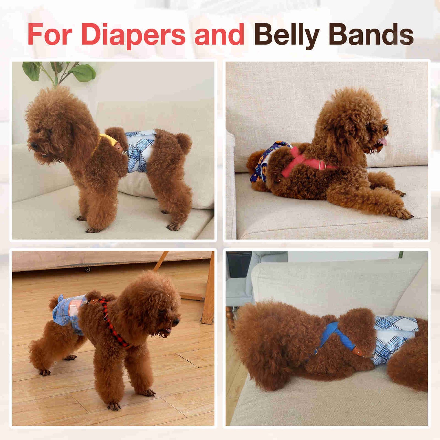 Dog Diaper Keeper For Male Dog And Female Dog Diapers, 2 Pcs/ Pack (Red & Brown)