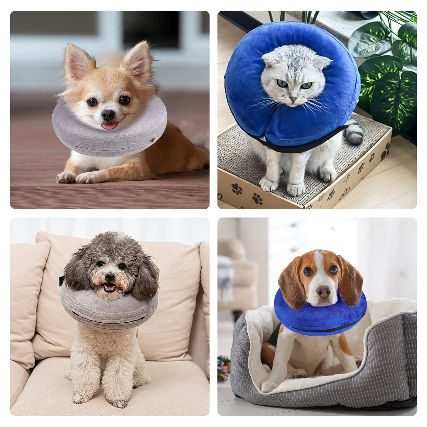 Inflatable Dog Collars-Adjustable Collars for dogs and Cats, 1 Pack (Grey)