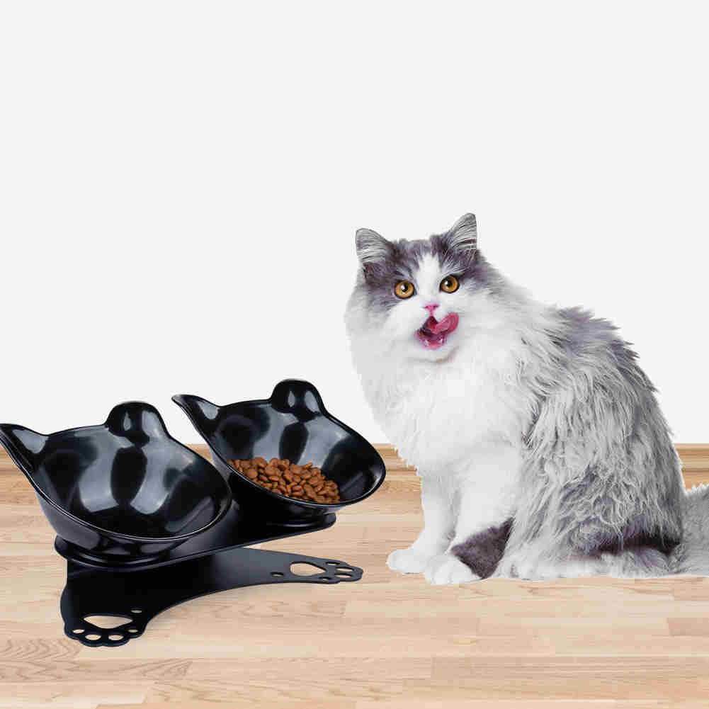 Tilted 15° Plastic Double Cat Feeding Bowls with Stand (Black)