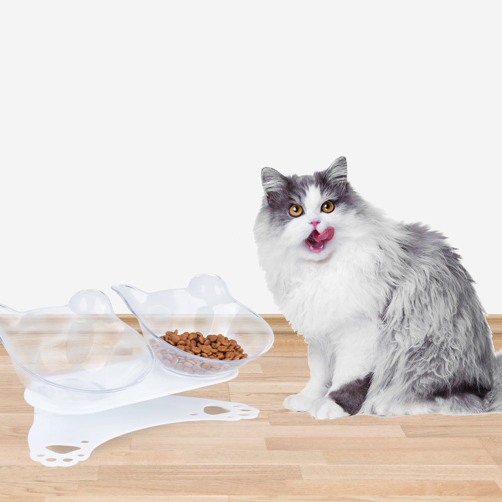 Tilted 15° Plastic Double Cat Feeding Bowls with Stand (Transparent)