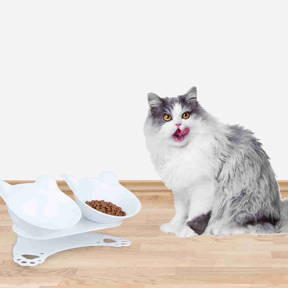 Tilted 15° Plastic Double Cat Feeding Bowls with Stand (White)