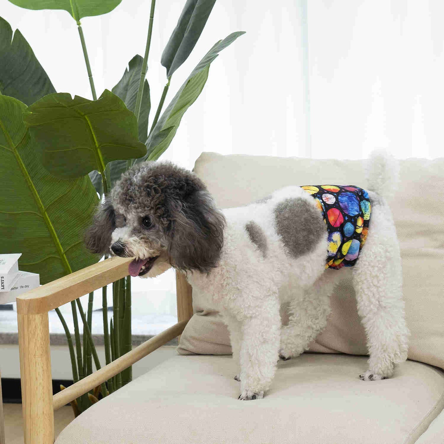 Washable Male Dog Diapers, Reusable Doggy Diapers, 3 Pack (Dino)