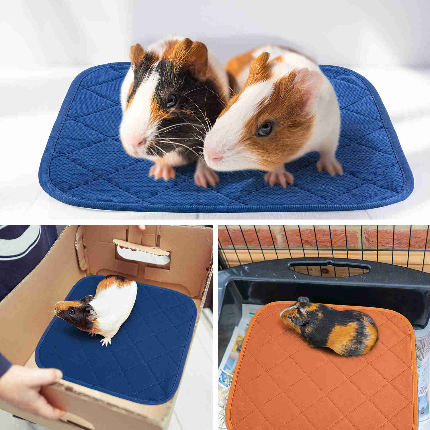 Washable Small Pet Pads, like guinea pigs(Blue Orange)