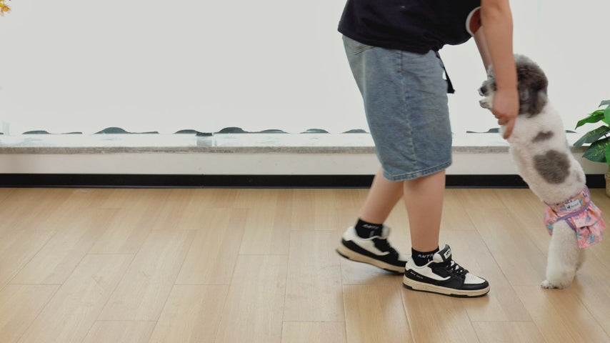 Washable Female Dog Diapers, Reusable Doggy Diapers, with skirt, 3 Pack (Floral)