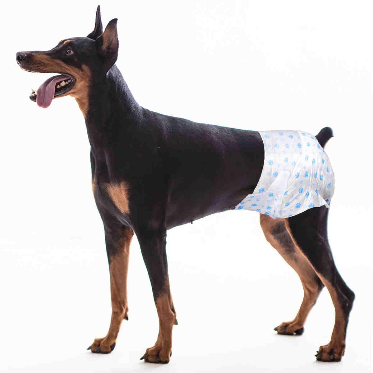Disposable Female Puppy Dog Diaper