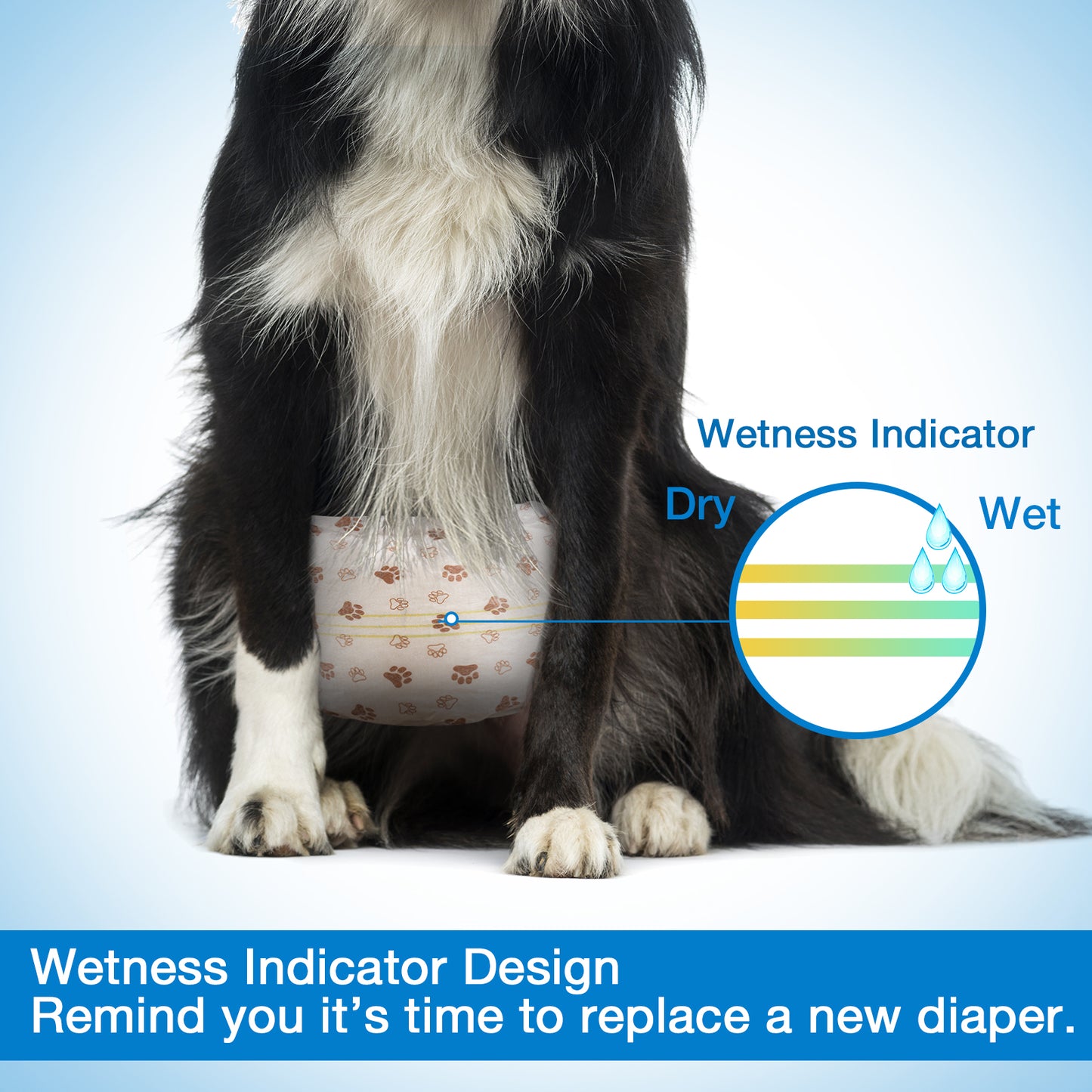 Disposable Male Dog Diapers Wraps with Wetness Indicator