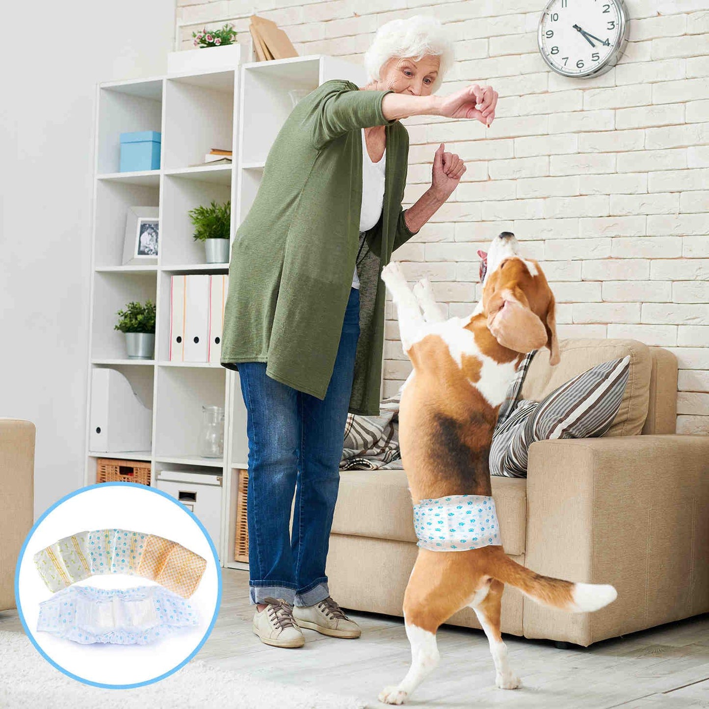 Disposable Male Dog Diapers Wraps with Wetness Indicator