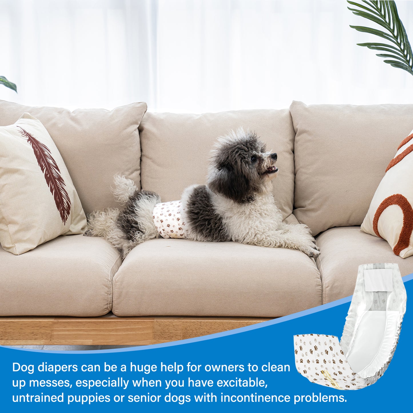 Disposable Male Dog Diapers Wraps with Wetness Indicator