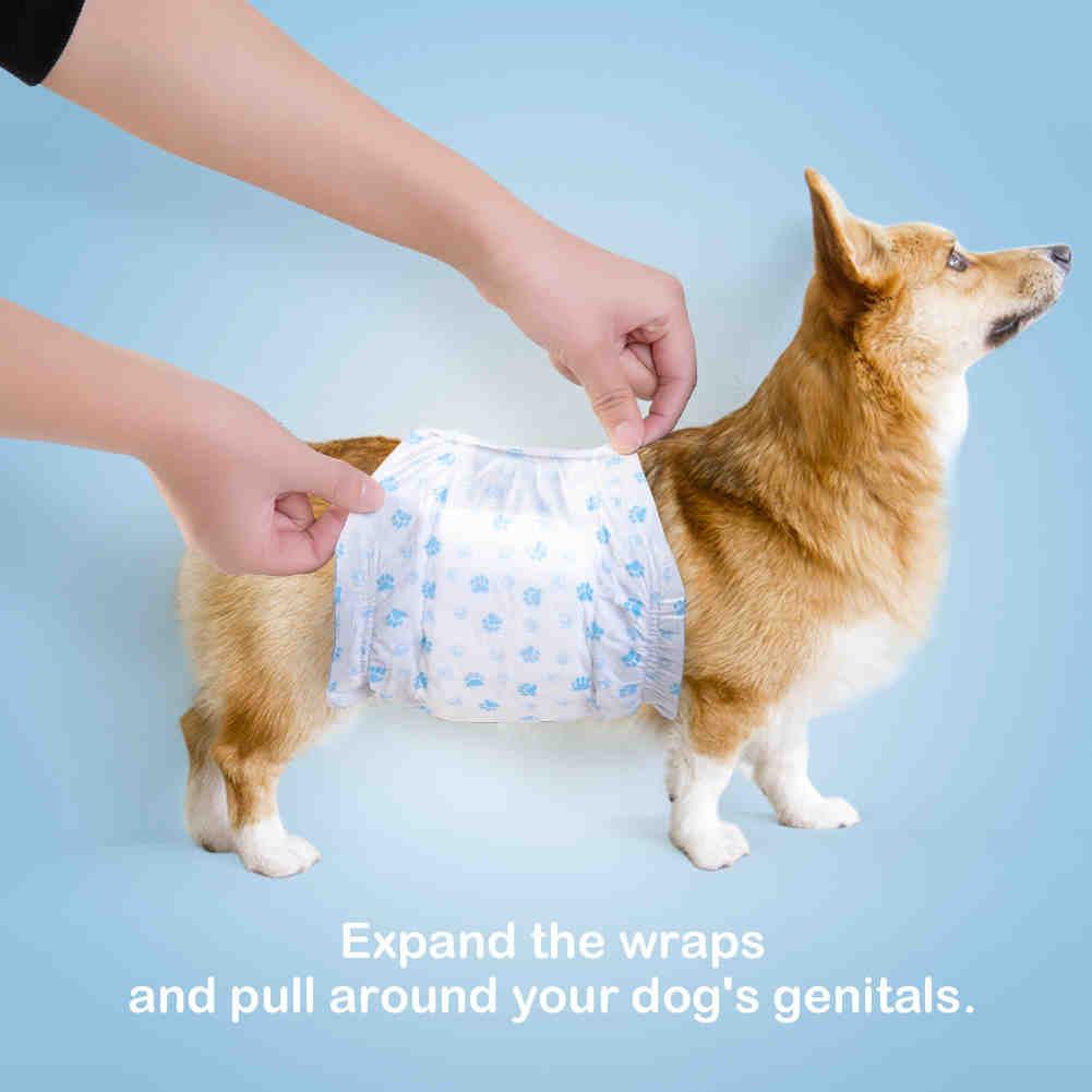 Disposable Male Dog Diapers