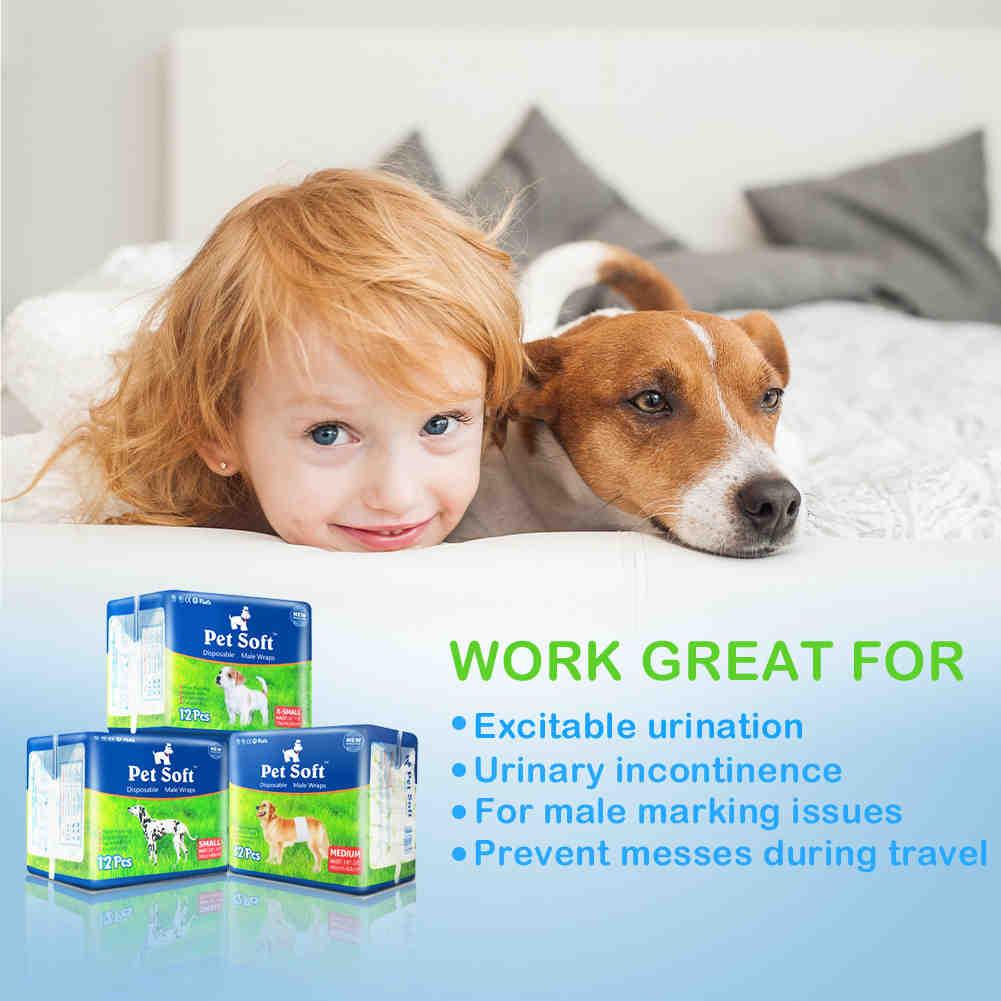 Disposable Male Dog Diapers