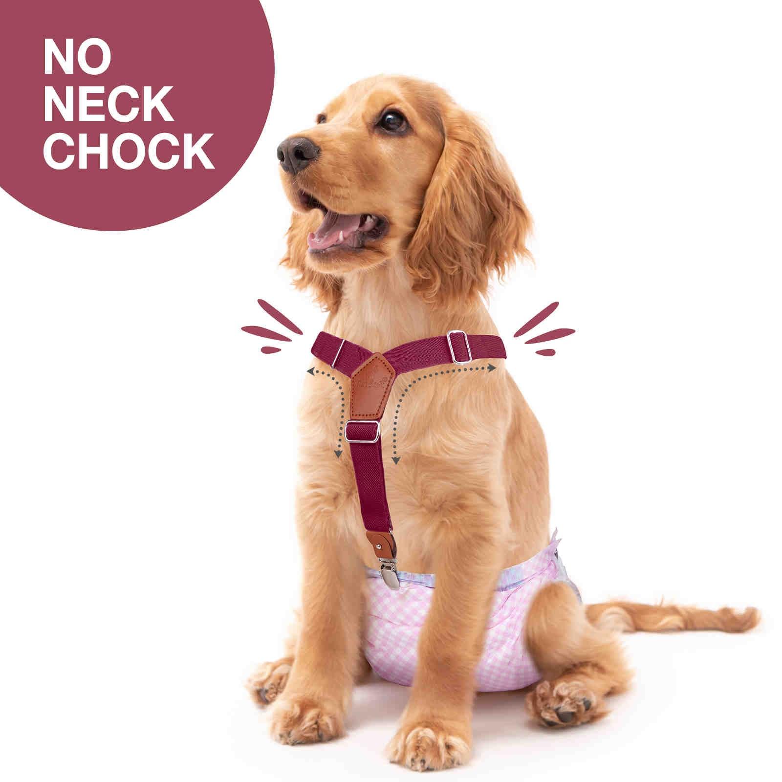 Dog Diaper Keeper For Male Dog And Female Dog Diapers