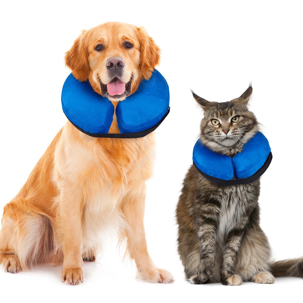 Inflatable Dog Collars-Adjustable Collars for dogs and Cats, 1 Pack (Blue) - PetsoftInflatable Dog Collars-Adjustable Collars for dogs and Cats, 1 Pack (Blue)