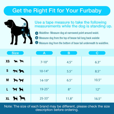 Washable Female Dog Diapers, Reusable Doggy Diapers, 3 Pack (Leaf)