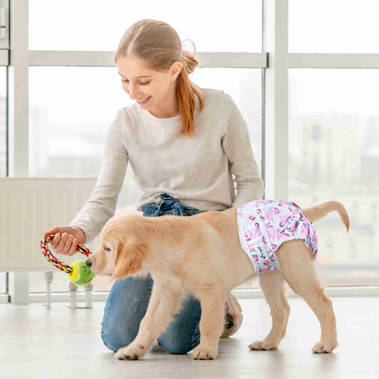 Washable Female Dog Diapers, Reusable Doggy Diapers, 3 Pack (Ocean)