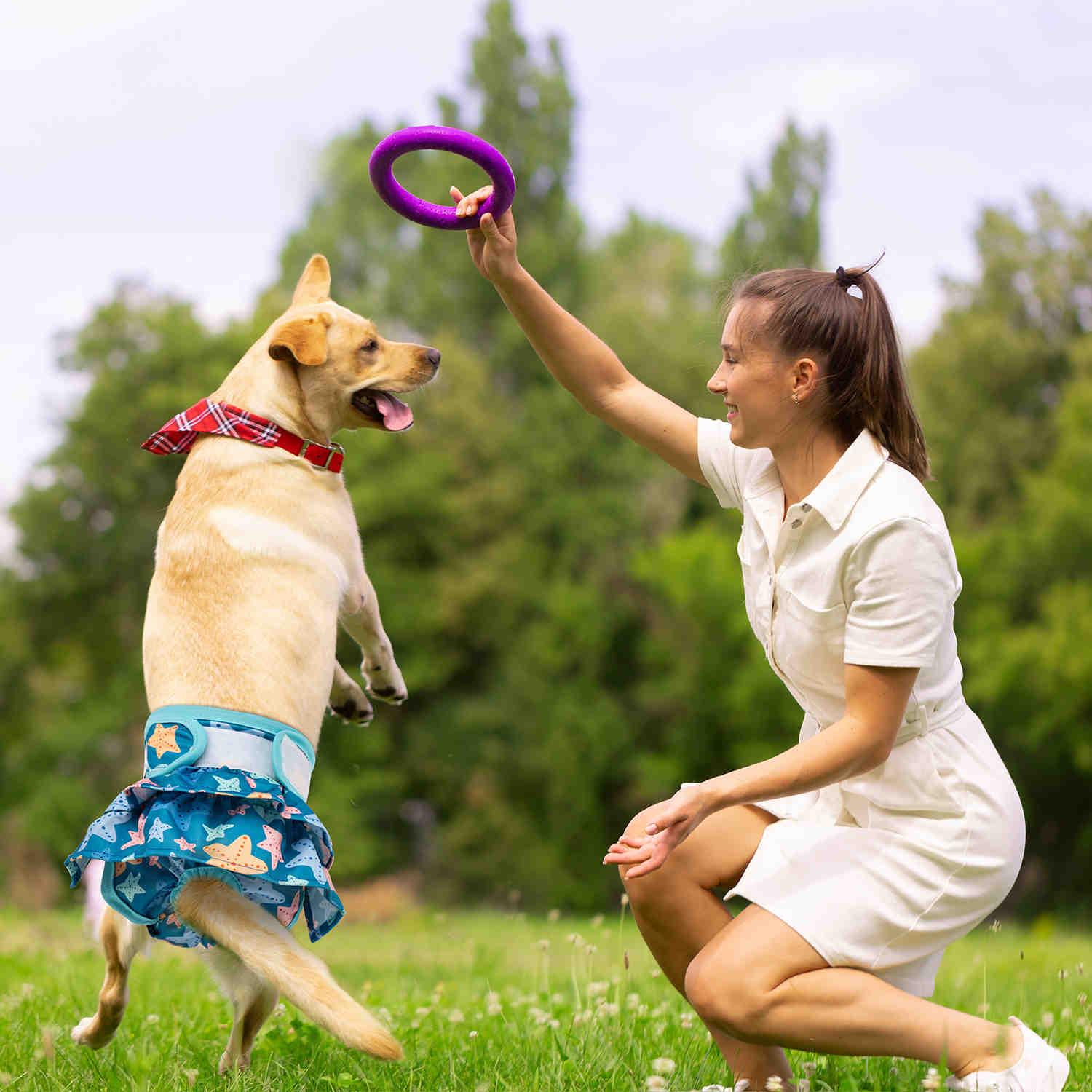 Washable Female Dog Diapers, Reusable Doggy Diapers