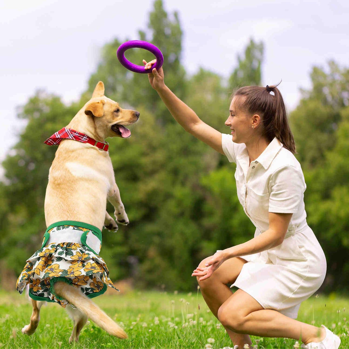 Washable Female Dog Diapers, Reusable Doggy Diapers