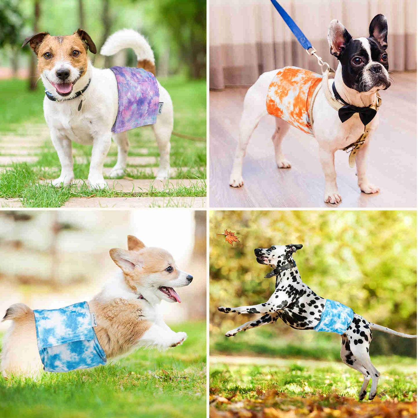 Washable Male Dog Diapers, Reusable Doggy Diapers, 3 Pack (Dyeing)