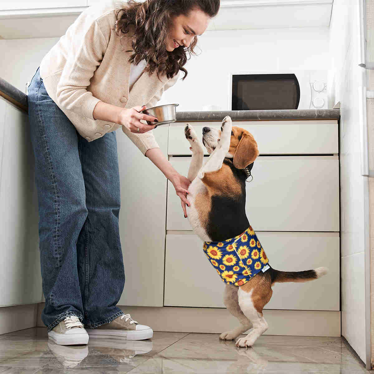 Washable Male Dog Diapers, Reusable Doggy Diapers, 3 Pack (Flower)