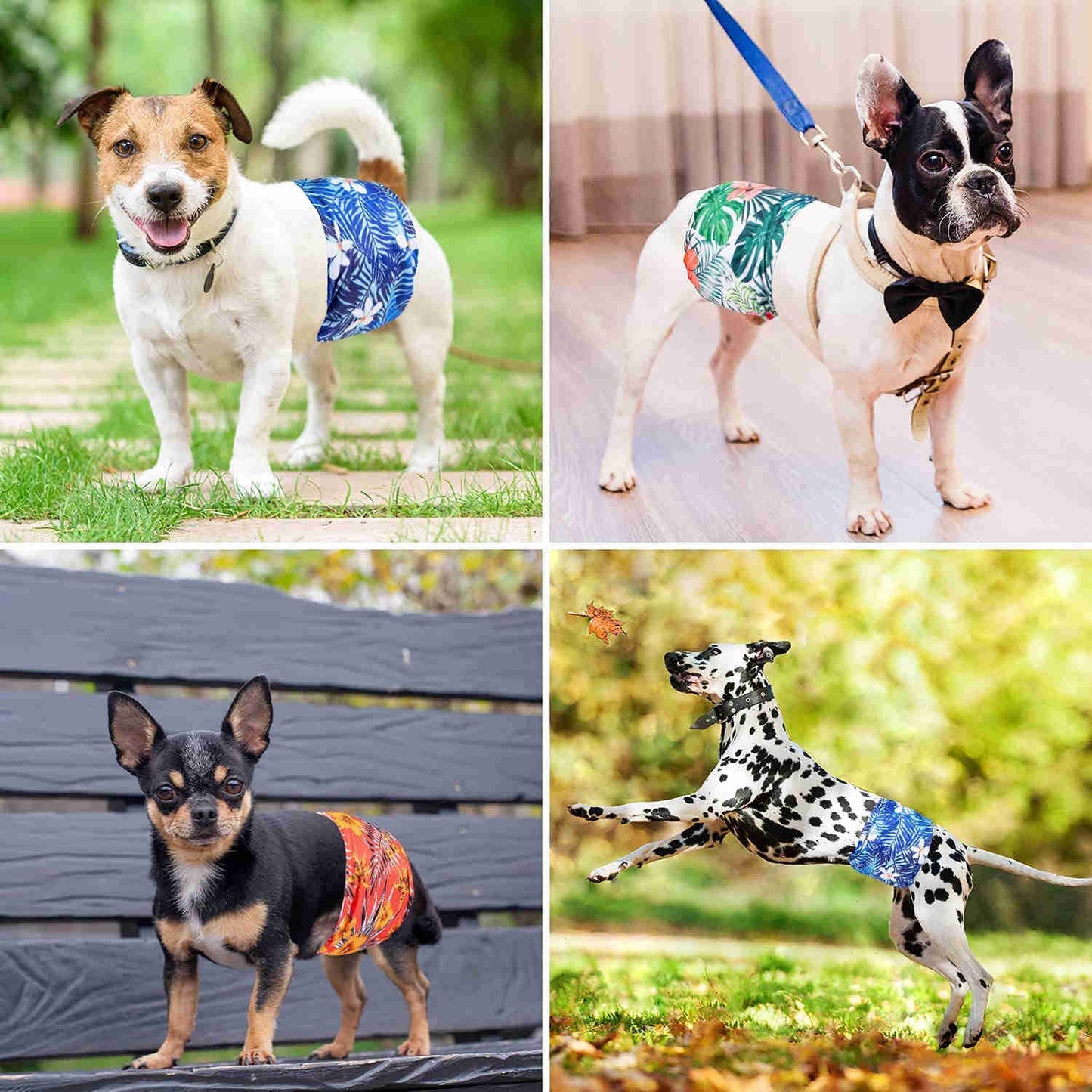 Washable Male Dog Diapers, Reusable Doggy Diapers, 3 Pack (Leaves)