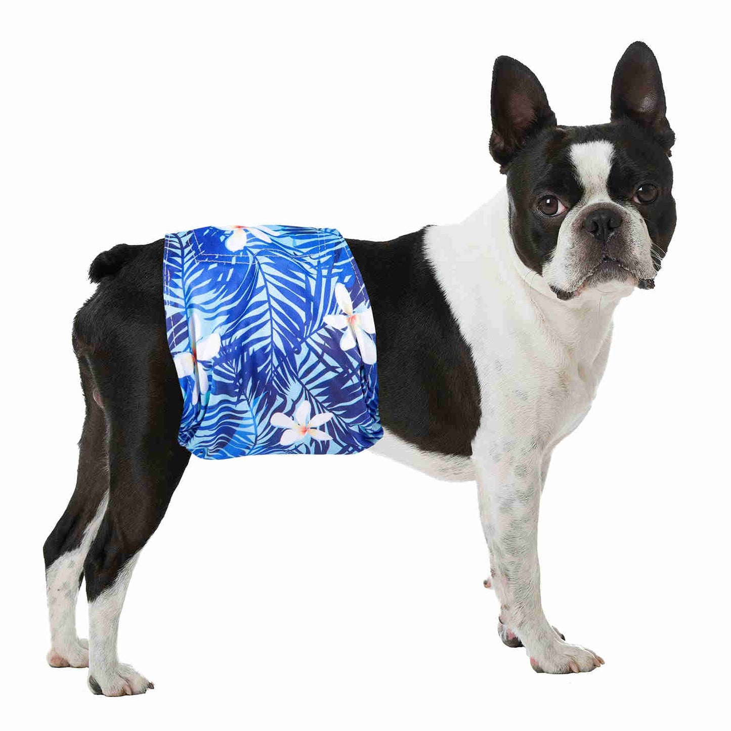 Washable Male Dog Diapers, Reusable Doggy Diapers, 3 Pack (Leaves)