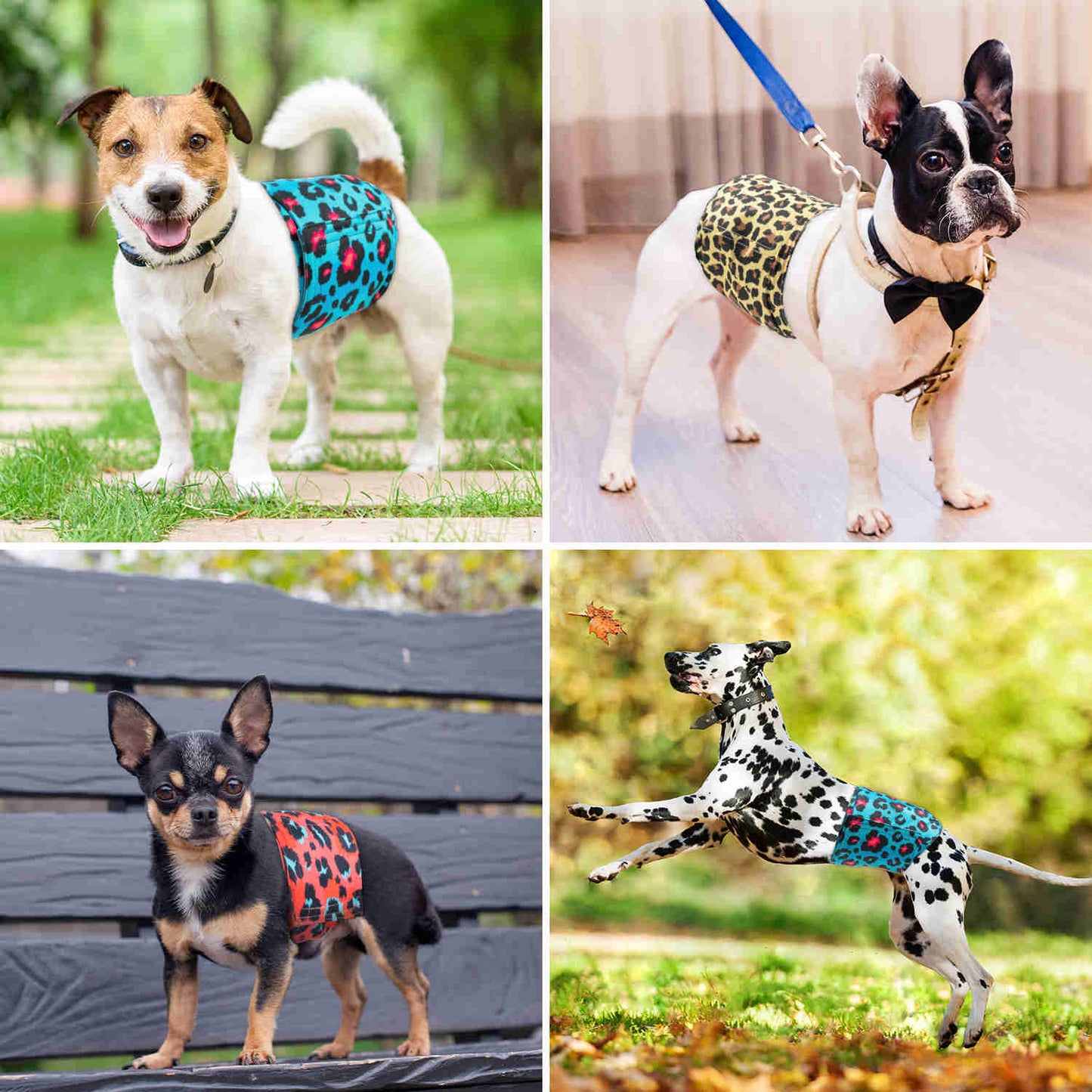 Washable Male Dog Diapers, Reusable Doggy Diapers, 3 Pack (Leopard)