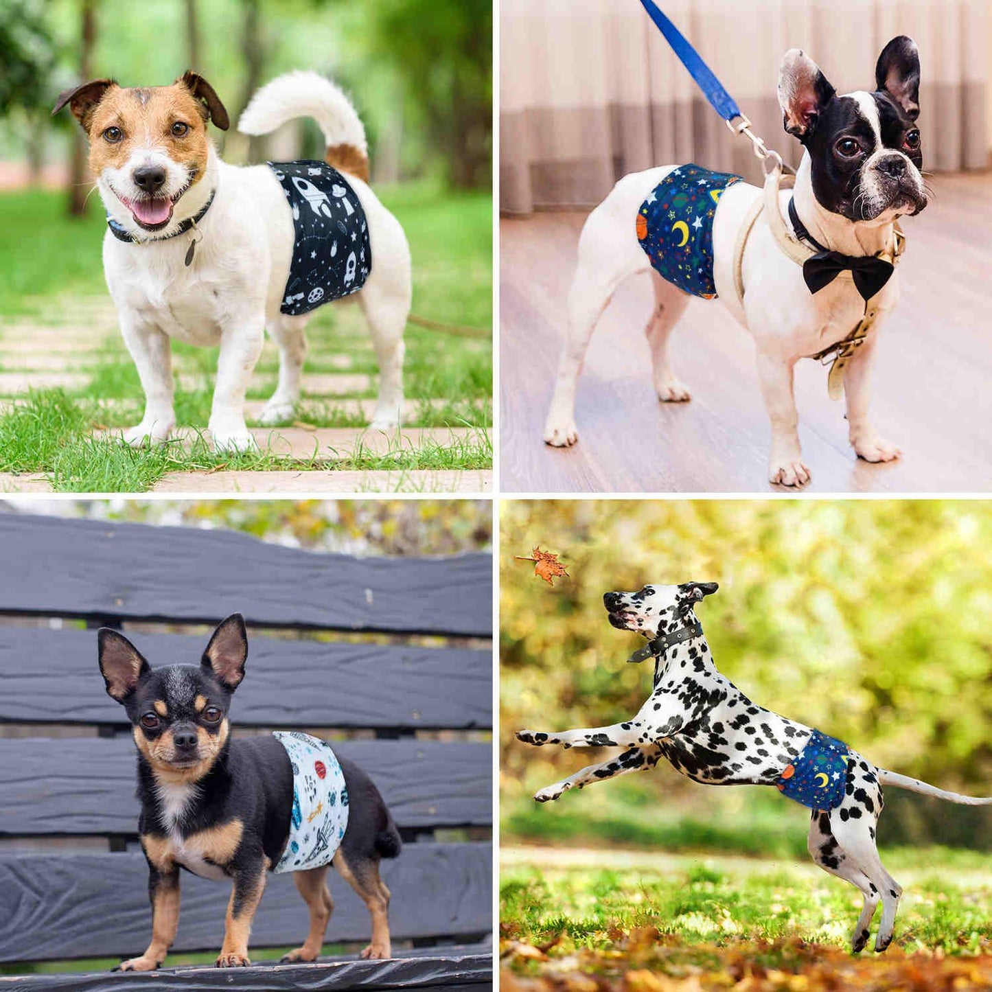 Washable Male Dog Diapers, Reusable Doggy Diapers