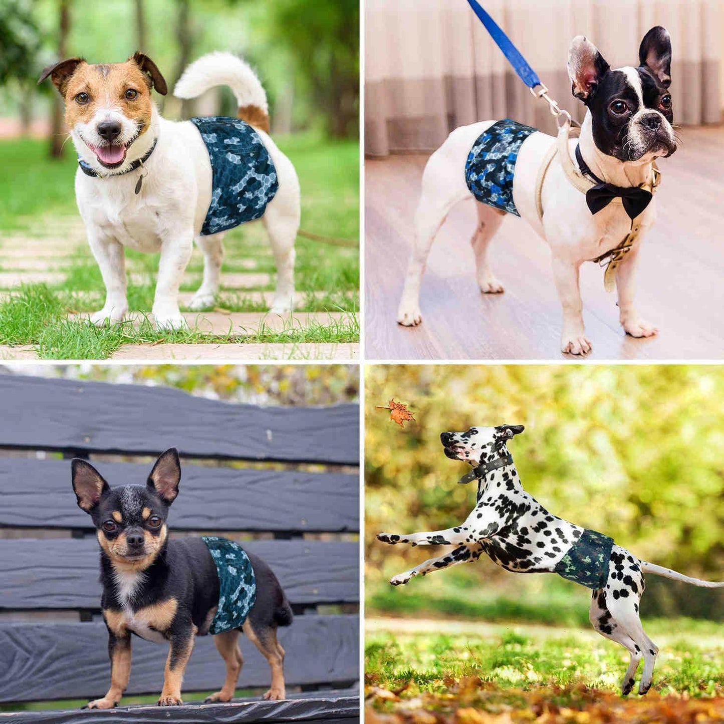 Washable Male Dog Diapers, Reusable Doggy Diapers