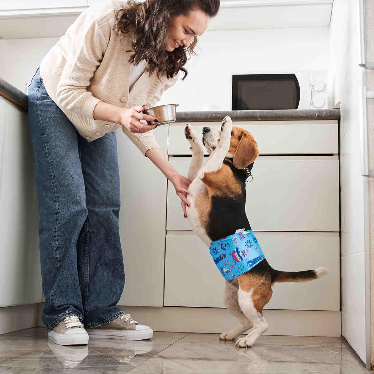 Washable Male Dog Diapers, Reusable Doggy Diapers