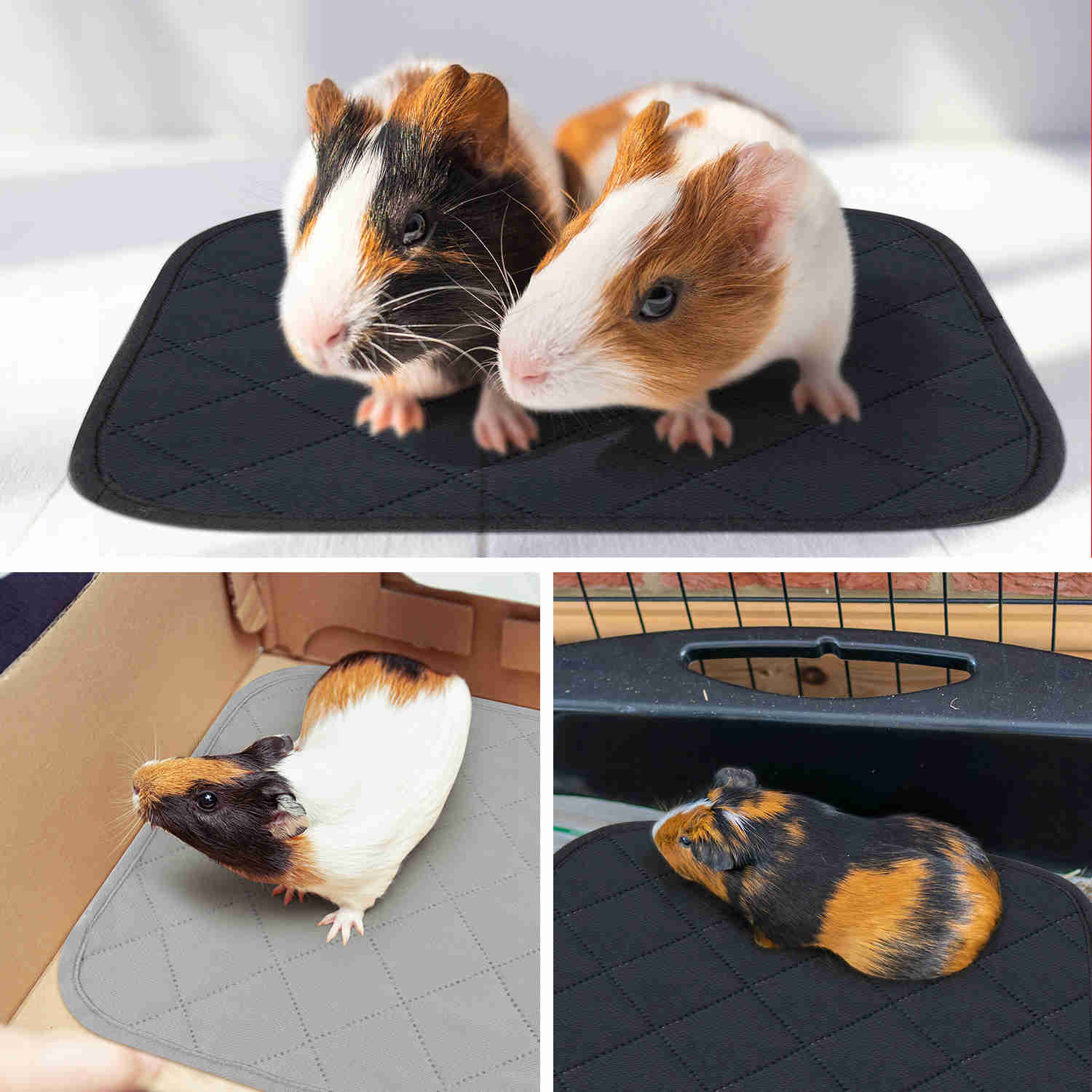 Washable Small Pet Pads, like guinea pigs(Classic)