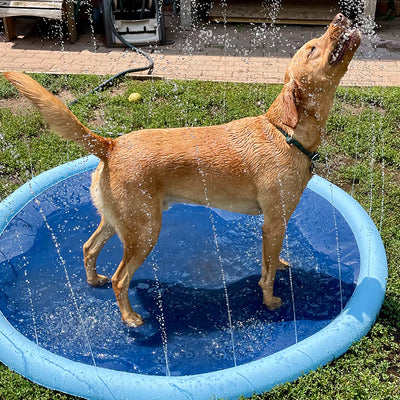 Water supplies - Petsoft