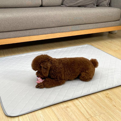 Washable Pet Pee Pad - Petsoft