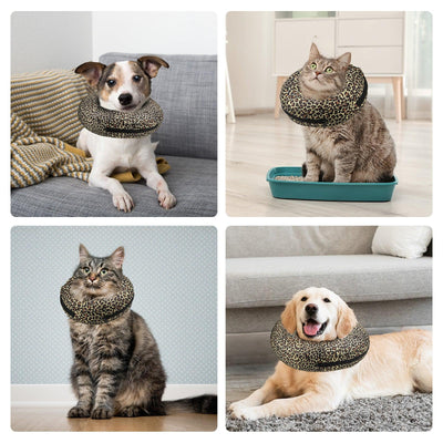 Pet Collars - Petsoft