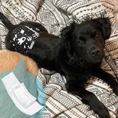 Dog Diaper Liners & Pads - Petsoft