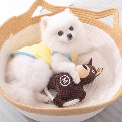Pet Toy