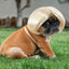 Adorable Appearance Pet Short Hair Wig Headband - Cute and Playful All Seasons Fun Accessory for Dogs & Cats, Valentine's Day Gift