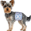 Pet Soft Male Dog Diapers - Disposable Male Dog Wraps Wetness Indicator, Puppy Diapers Male for Excitable Urination or Incontinence, 50pcs XSmall