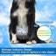 Pet Soft Male Dog Diapers - Disposable Male Dog Wraps Wetness Indicator, Puppy Diapers Male for Excitable Urination or Incontinence, 50pcs XSmall