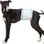 Pet Soft Disposable Dog Dipaers - Male Dog Wraps Wetness Indicator, Ultra Absorbent Puppy Diapers Male for Excitable Urination or Incontinence, 24pcs XSmall