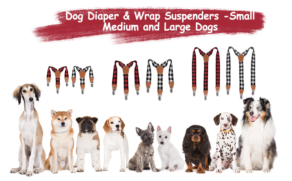 Dog diaper and wrap suspenders