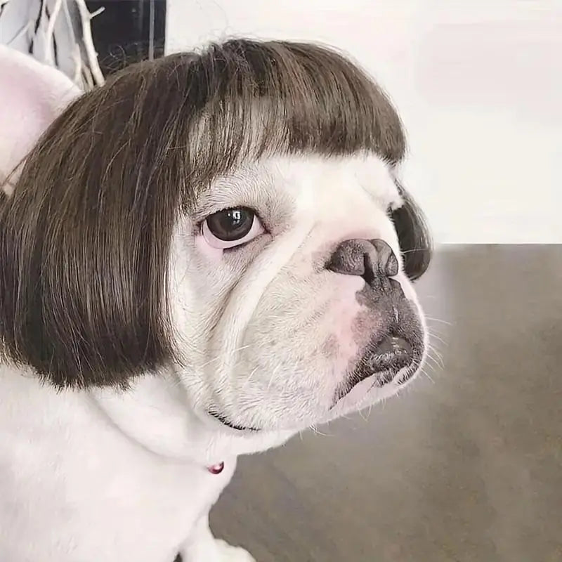 Adorable Appearance Pet Short Hair Wig Headband - Cute and Playful All Seasons Fun Accessory for Dogs & Cats, Valentine's Day Gift