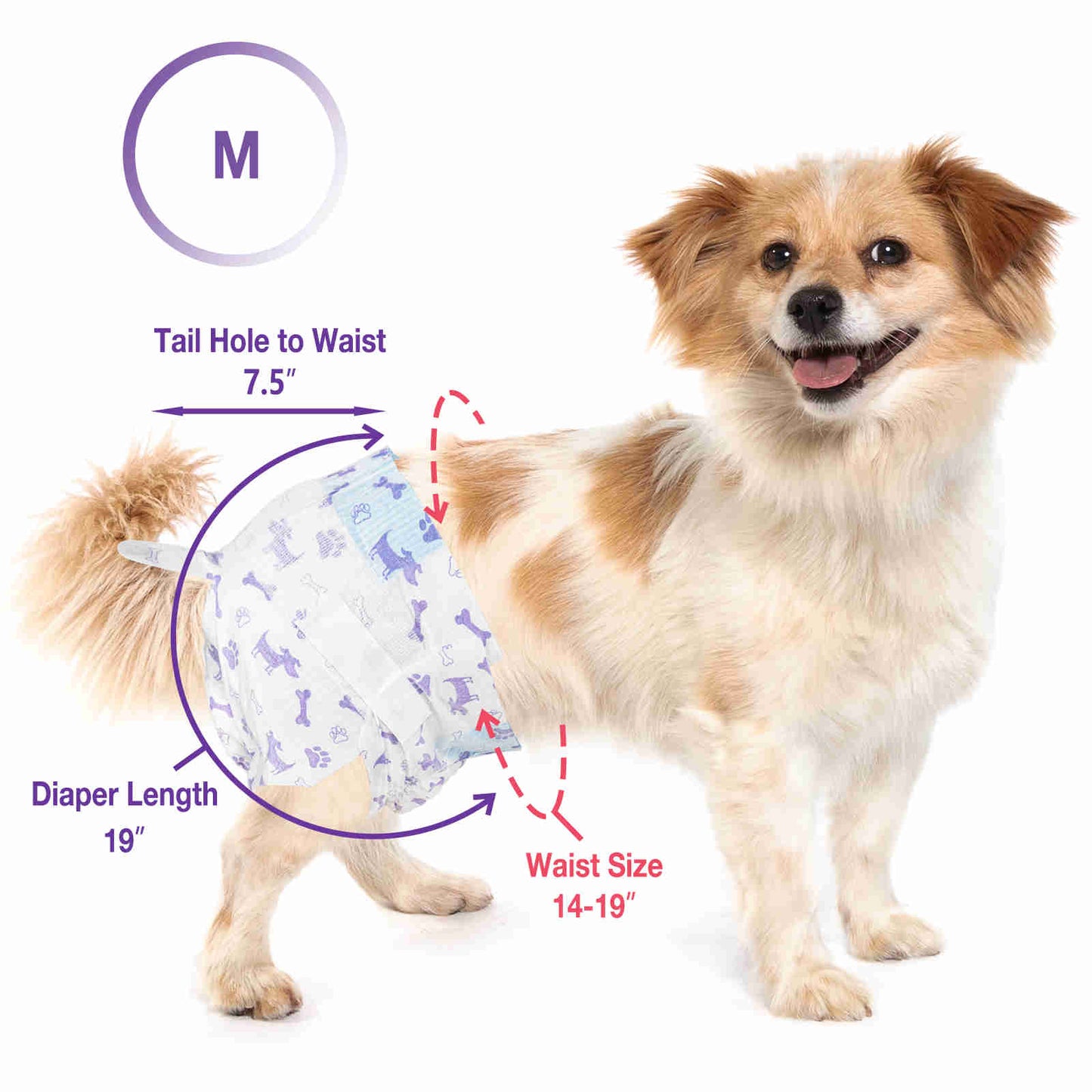 Disposable Female Dog Diaper, Adjustable Tail Hole with Wetness Indicator, Purple/Red, 1 Pack