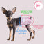 Disposable Female Dog Diaper, Adjustable Tail Hole with Wetness Indicator, Red, 1 Pack