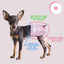 Disposable Female Dog Diaper, Adjustable Tail Hole with Wetness Indicator, Red, 1 Pack