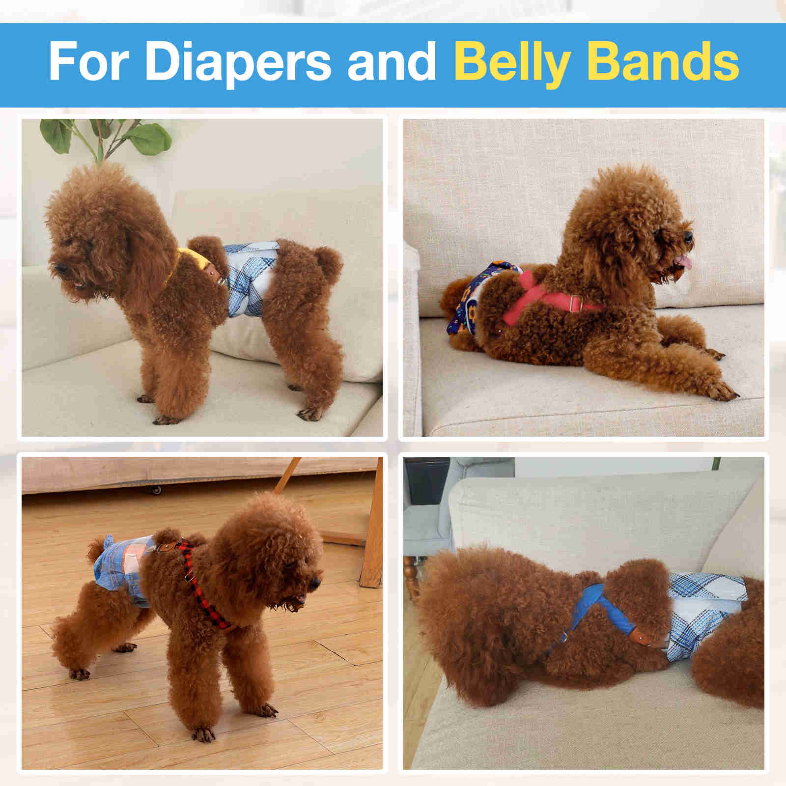 Dog Diaper Keeper For Male Dog And Female Dog Diapers, 2 Pcs Pack (Blue & Yellow)