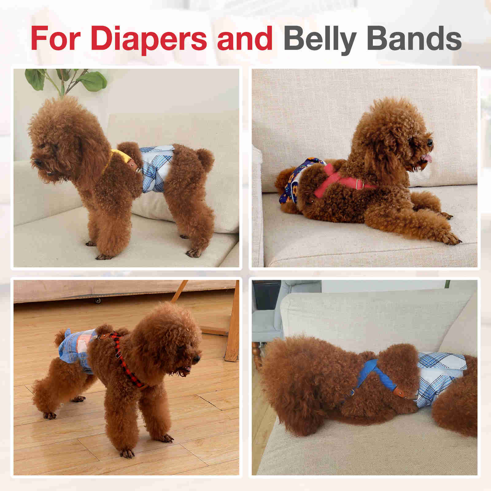Dog Diaper Keeper For Male Dog And Female Dog Diapers, 2 Pcs/ Pack (Heart)